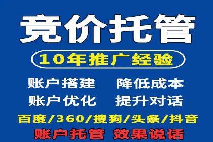 案例研究：竞价广告助力电商行业增长